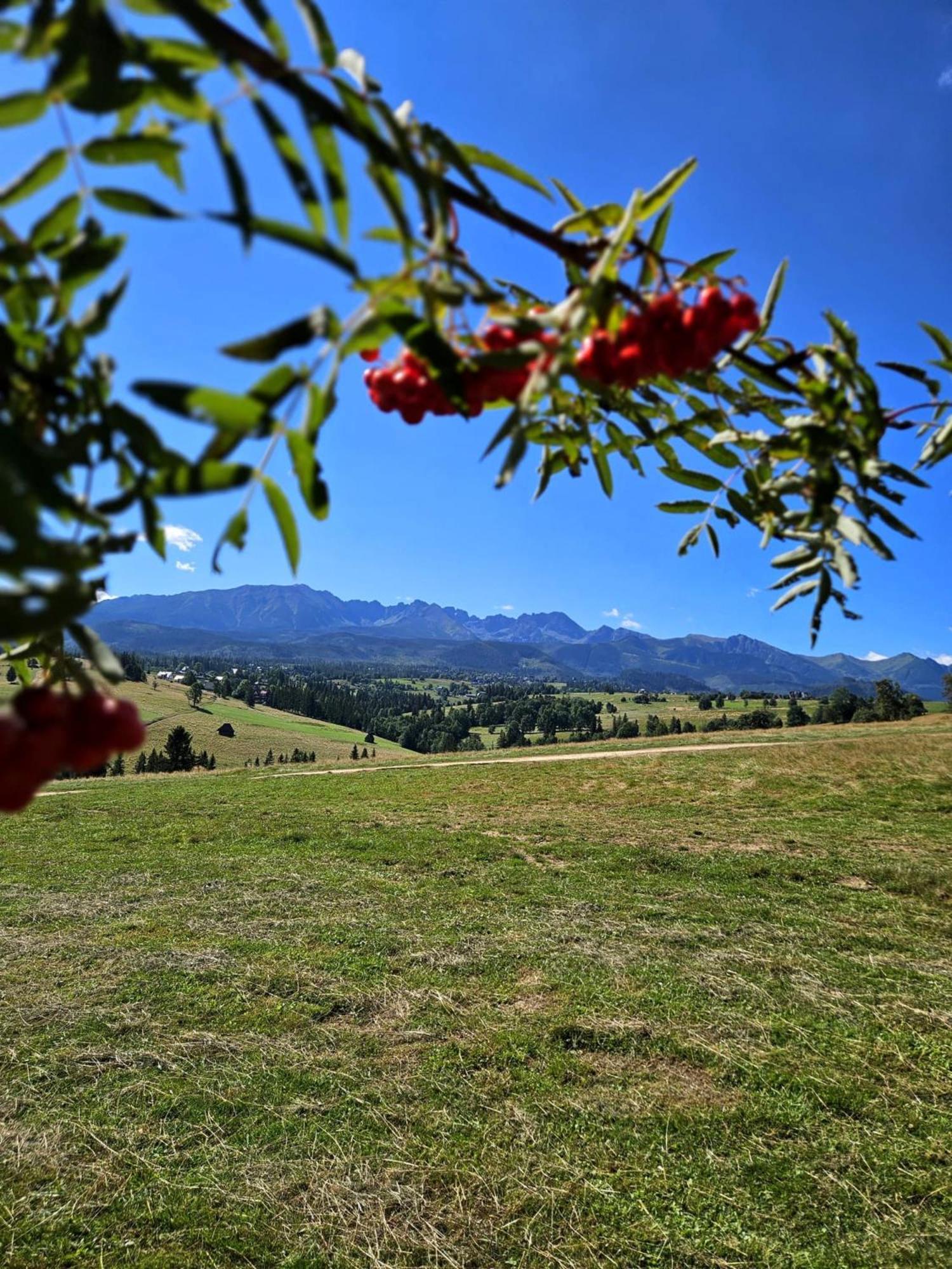 Goralska Chatka 3 Highland Cottage - Jacuzzi, Sauna, Split Ac, Private Parking, Mountains View Zakopane Exteriör bild