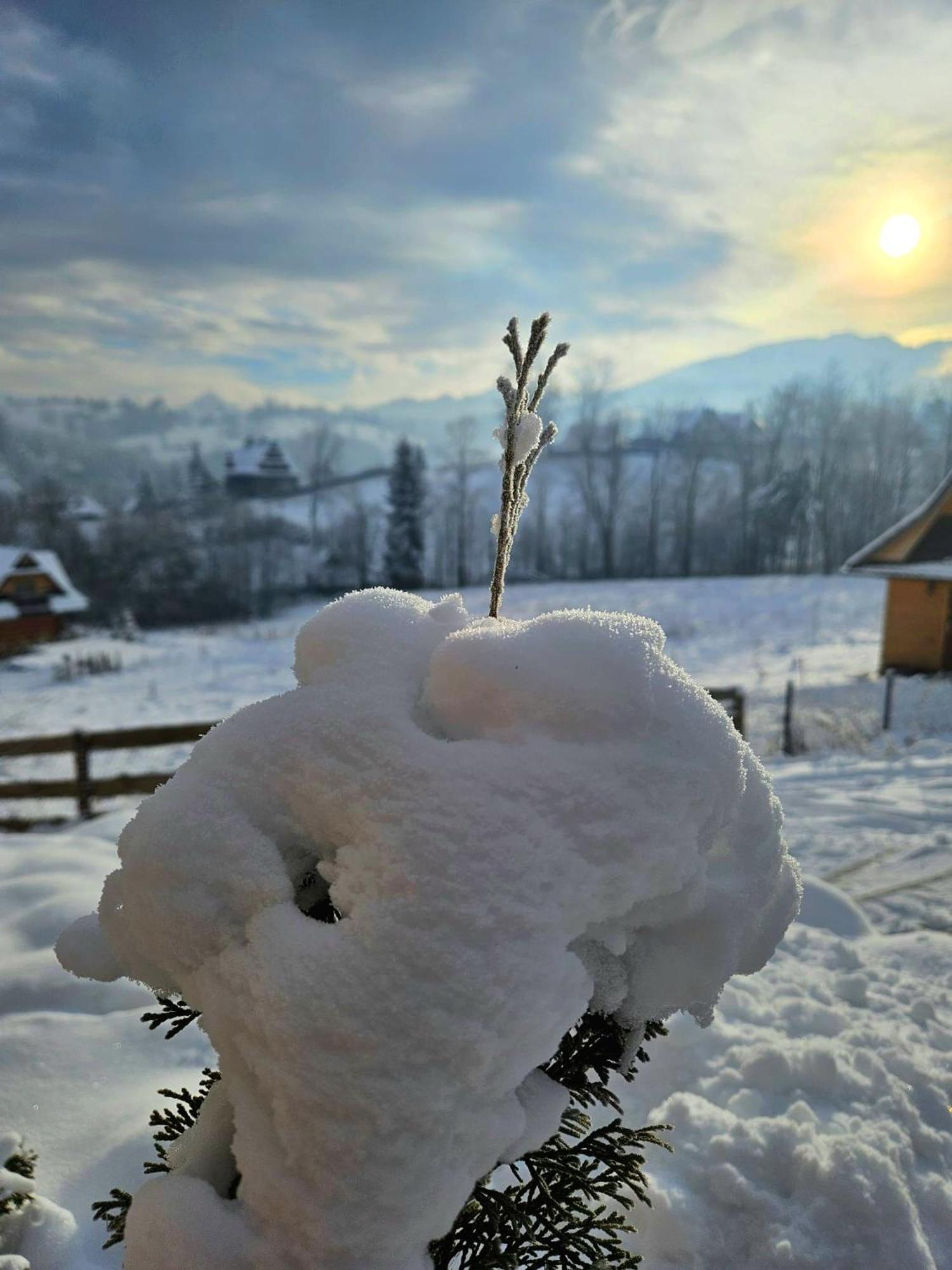 Goralska Chatka 3 Highland Cottage - Jacuzzi, Sauna, Split Ac, Private Parking, Mountains View Zakopane Exteriör bild