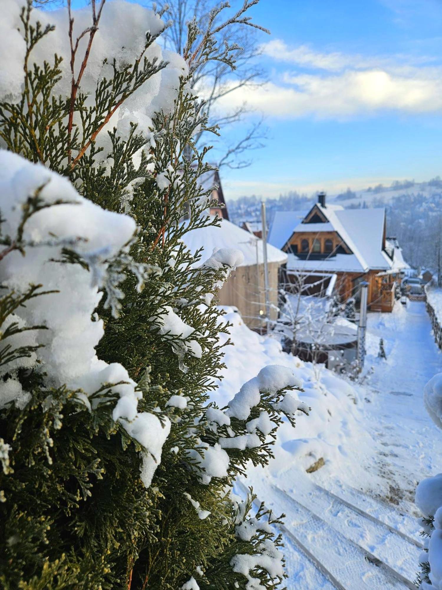 Goralska Chatka 3 Highland Cottage - Jacuzzi, Sauna, Split Ac, Private Parking, Mountains View Zakopane Exteriör bild